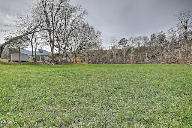 6865 Big Moccasin Rd, Nickelsville, VA 24271 - photo 22