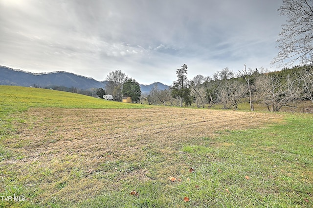 6865 Big Moccasin Rd, Nickelsville, VA 24271 - photo 23