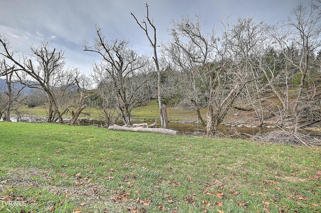 6865 Big Moccasin Rd, Nickelsville, VA 24271 - photo 28