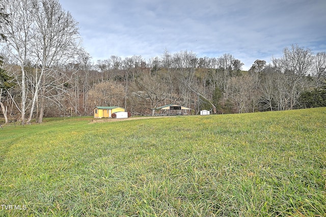 6865 Big Moccasin Rd, Nickelsville, VA 24271 - photo 29