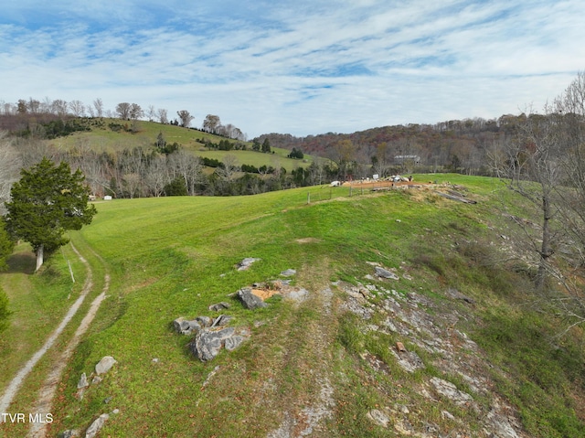6865 Big Moccasin Rd, Nickelsville, VA 24271 - photo 30
