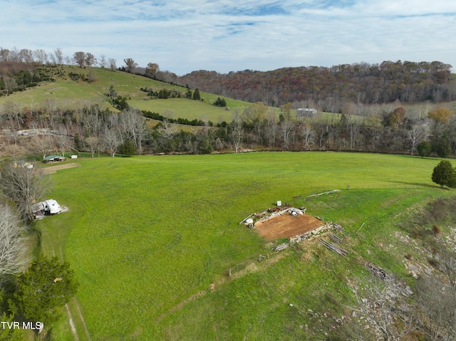 6865 Big Moccasin Rd, Nickelsville, VA 24271 - photo 31