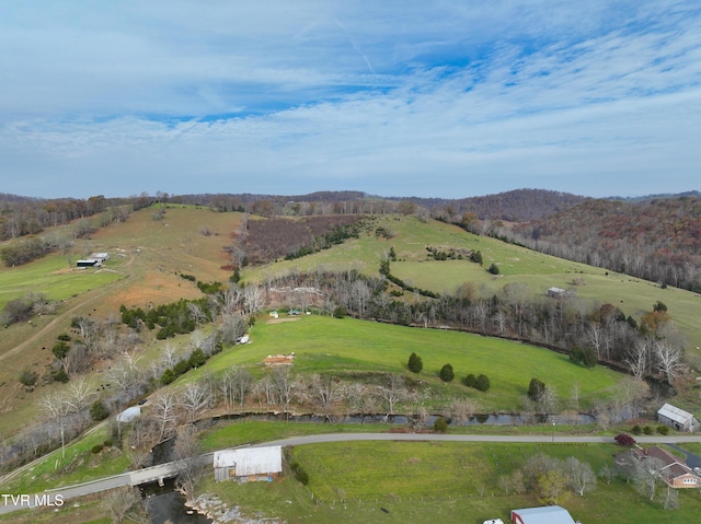 6865 Big Moccasin Rd, Nickelsville, VA 24271 - photo 35