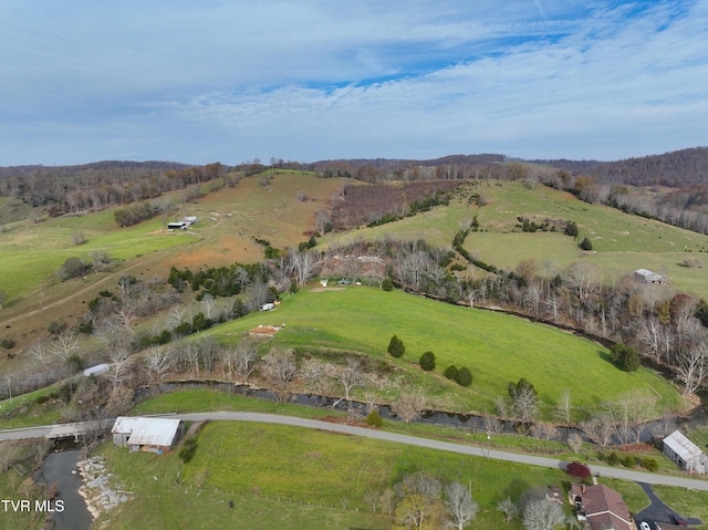 6865 Big Moccasin Rd, Nickelsville, VA 24271 - photo 36