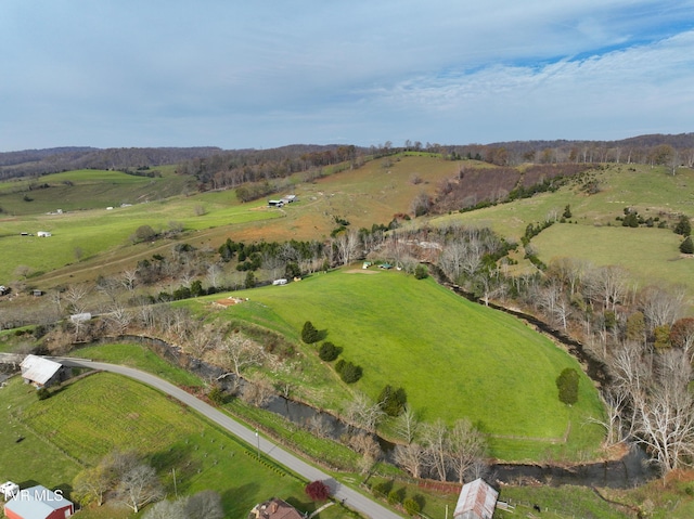 6865 Big Moccasin Rd, Nickelsville, VA 24271 - photo 37