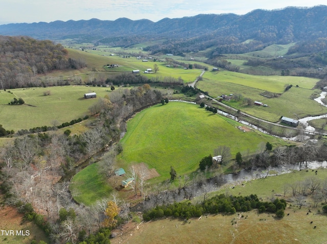 6865 Big Moccasin Rd, Nickelsville, VA 24271 - photo 47
