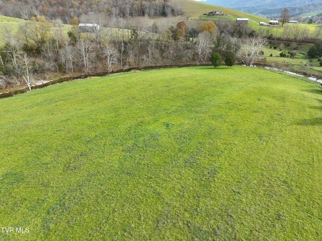 6865 Big Moccasin Rd, Nickelsville, VA 24271 - photo 52