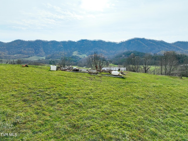 6865 Big Moccasin Rd, Nickelsville, VA 24271 - photo 54