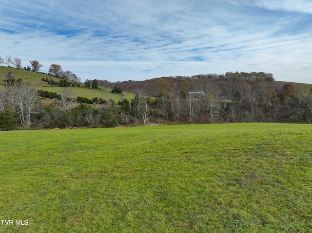 6865 Big Moccasin Rd, Nickelsville, VA 24271 - photo 55