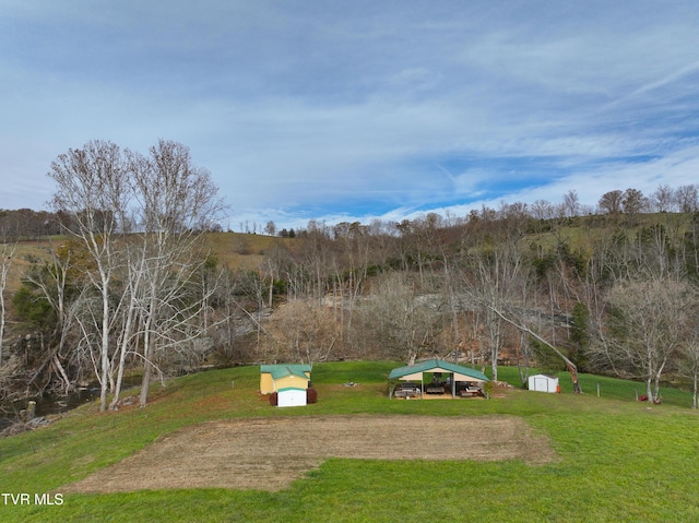 6865 Big Moccasin Rd, Nickelsville, VA 24271 - photo 56