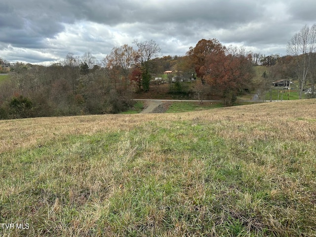 Listing photo 2 for TBD Old Boones Creek Rd, Jonesborough TN 37659