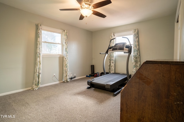 exercise area with carpet flooring, plenty of natural light, and ceiling fan