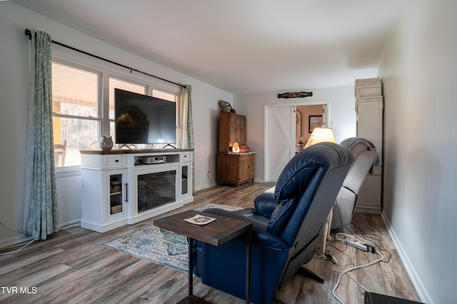 living room with hardwood / wood-style floors