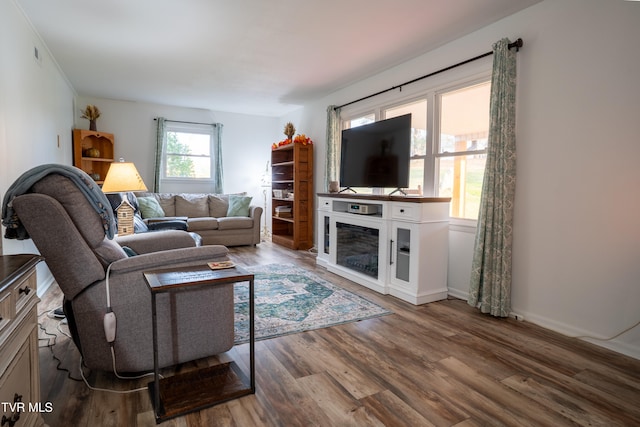 living room with hardwood / wood-style floors