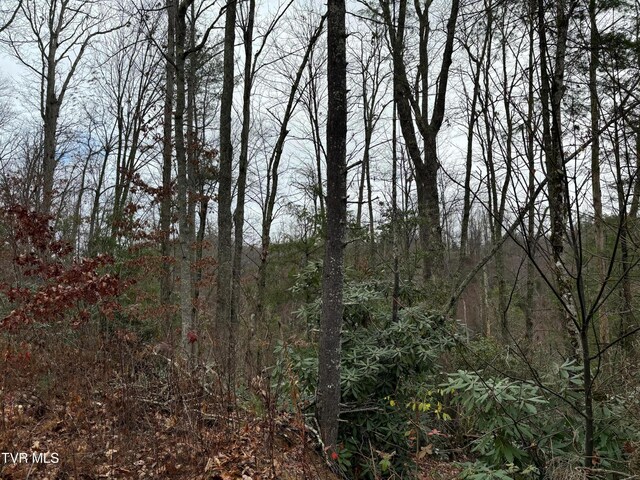 162 Murph Potter Ln, Roan Mountain, TN 37687 - photo 4