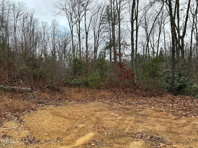 162 Murph Potter Ln, Roan Mountain, TN 37687 - photo 5