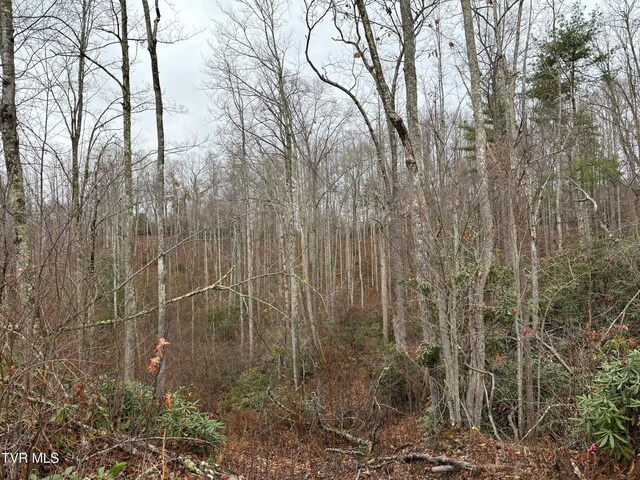 162 Murph Potter Ln, Roan Mountain, TN 37687 - photo 6