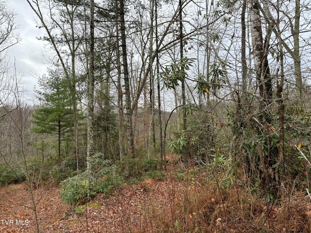 162 Murph Potter Ln, Roan Mountain, TN 37687 - photo 7