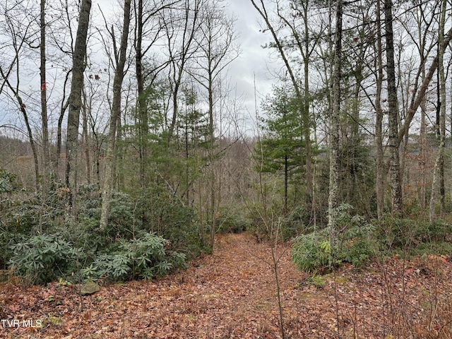 162 Murph Potter Ln, Roan Mountain, TN 37687 - photo 8
