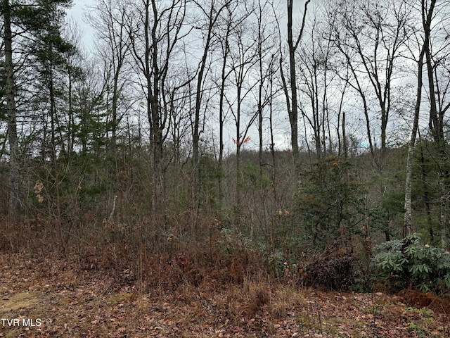 162 Murph Potter Ln, Roan Mountain, TN 37687 - photo 9