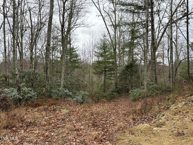 162 Murph Potter Ln, Roan Mountain, TN 37687 - photo 10
