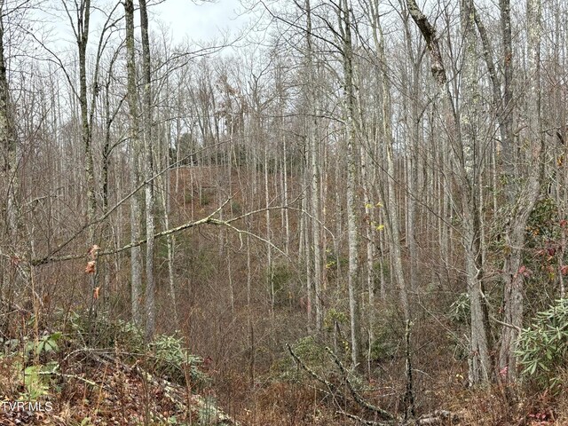 162 Murph Potter Ln, Roan Mountain, TN 37687 - photo 11