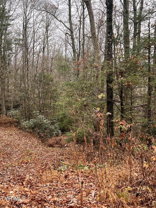 162 Murph Potter Ln, Roan Mountain, TN 37687 - photo 12