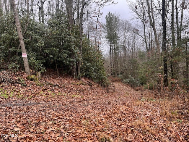162 Murph Potter Ln, Roan Mountain, TN 37687 - photo 1