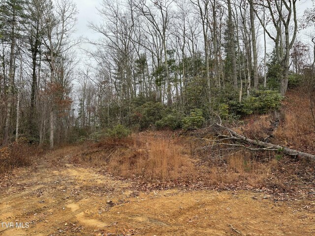 162 Murph Potter Ln, Roan Mountain, TN 37687 - photo 13