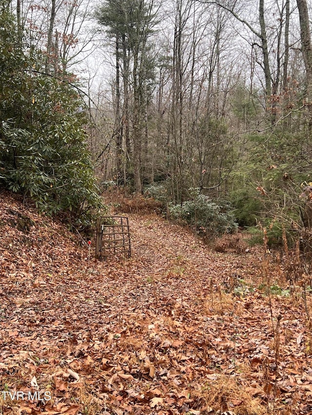 162 Murph Potter Ln, Roan Mountain, TN 37687 - photo 2