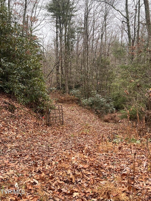 162 Murph Potter Ln, Roan Mountain, TN 37687 - photo 3