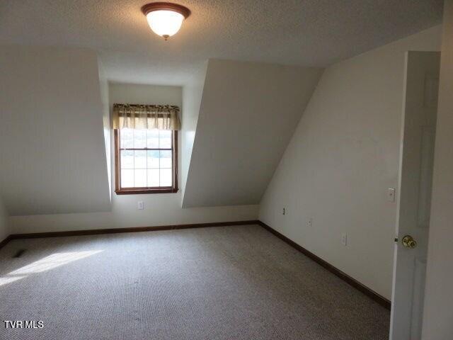 bonus room with carpet, a textured ceiling, and lofted ceiling