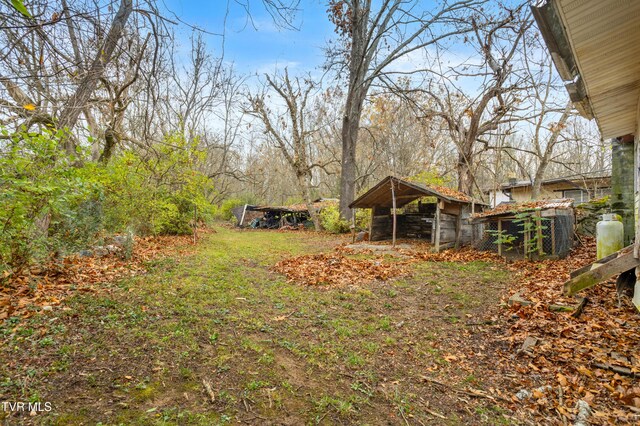 1667 Bristol Caverns Hwy, Bristol, TN 37620 - view of yard featuring an outdoor structure