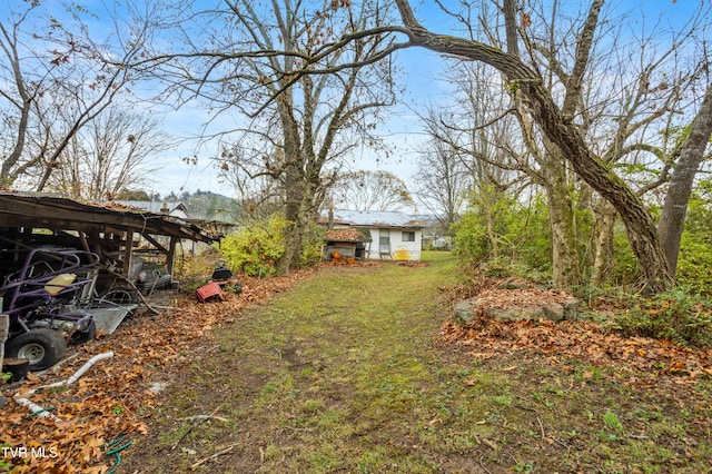 1667 Bristol Caverns Hwy, Bristol, TN 37620 - view of grassy yard