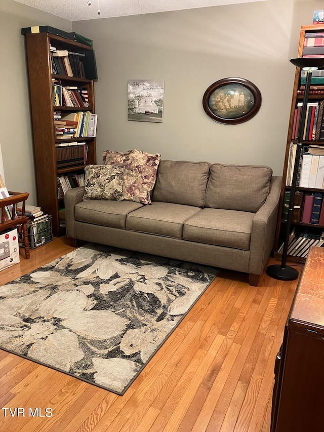 living room with a textured ceiling and light wood-type flooring