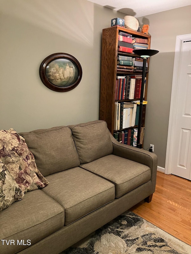 living room with hardwood / wood-style floors