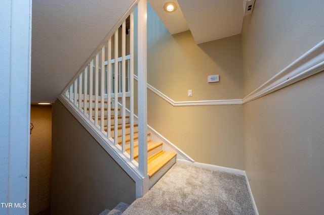 staircase featuring carpet floors