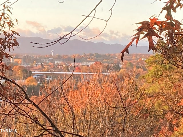 property view of mountains