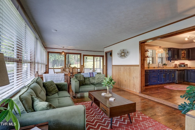 living room with dark hardwood / wood-style floors, ornamental molding, and a textured ceiling