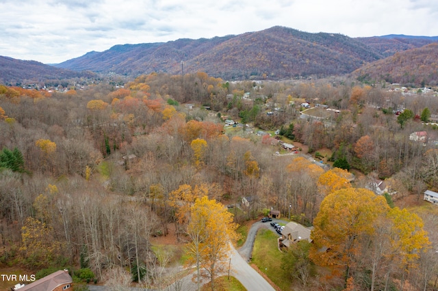 property view of mountains