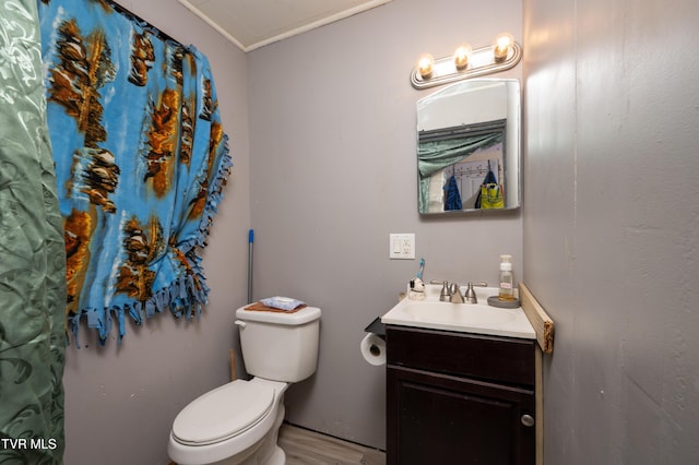 bathroom featuring vanity, hardwood / wood-style flooring, and toilet