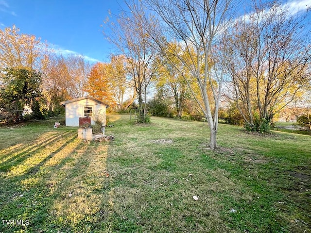 view of yard with a shed