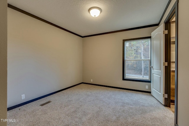 carpeted empty room with ornamental molding and a textured ceiling