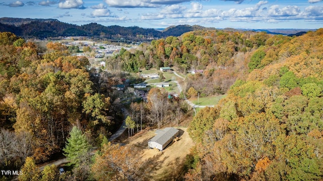 birds eye view of property with a mountain view