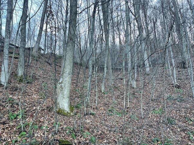 Listing photo 3 for LOT13 Eagle Ridge Rd, Roan Mountain TN 37687