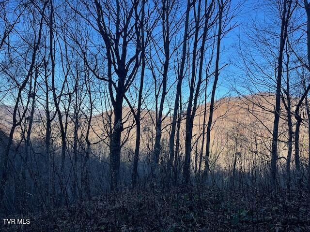 LOT13 Eagle Ridge Rd, Roan Mountain TN, 37687 land for sale