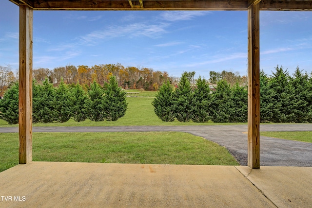 view of yard featuring a patio area