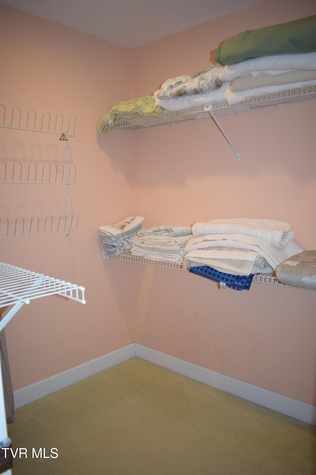 spacious closet with carpet floors