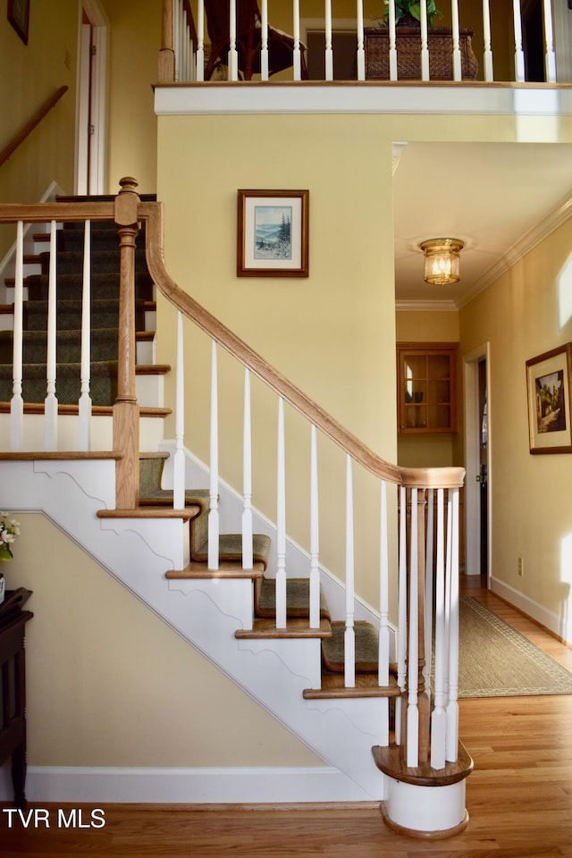 736 Ragan Rd, Trade, TN 37691 - photo 10