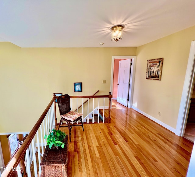 staircase with wood-type flooring